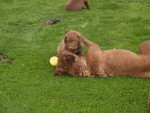 samen met mama spelen